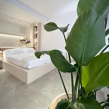 Allegra Guest house