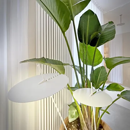 Allegra Μοντερόσο αλ Μάρε